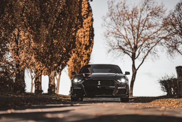 Casino Lion Wins Android/iOS rakendus